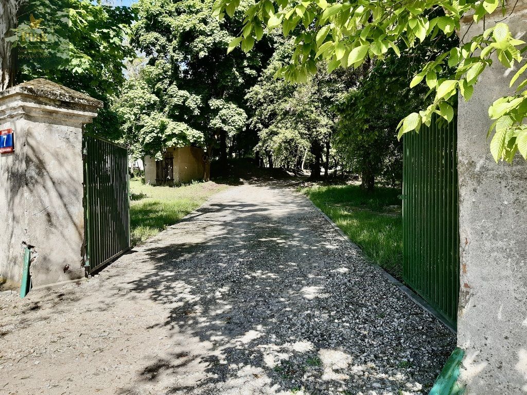 Działka budowlana Luciny. Zdjęcie 4