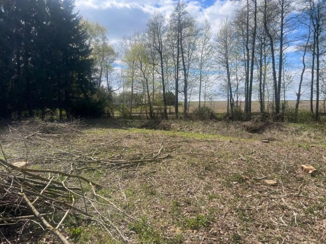 Działka siedliskowa Wojciechów. Zdjęcie 1