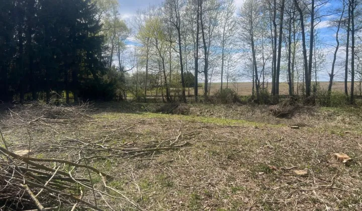 Działka siedliskowa Wojciechów