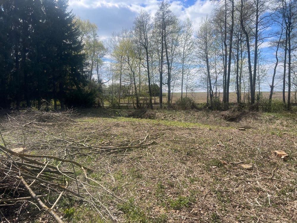 Działka siedliskowa Wojciechów. Zdjęcie 1