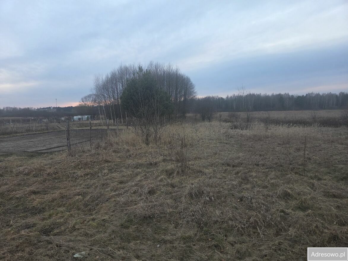 Działka rolna Jamy. Zdjęcie 1