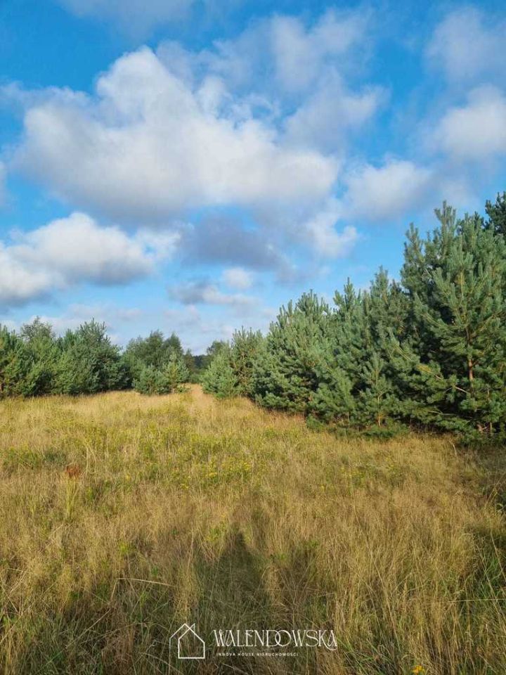 Działka Smołdzino. Zdjęcie 1