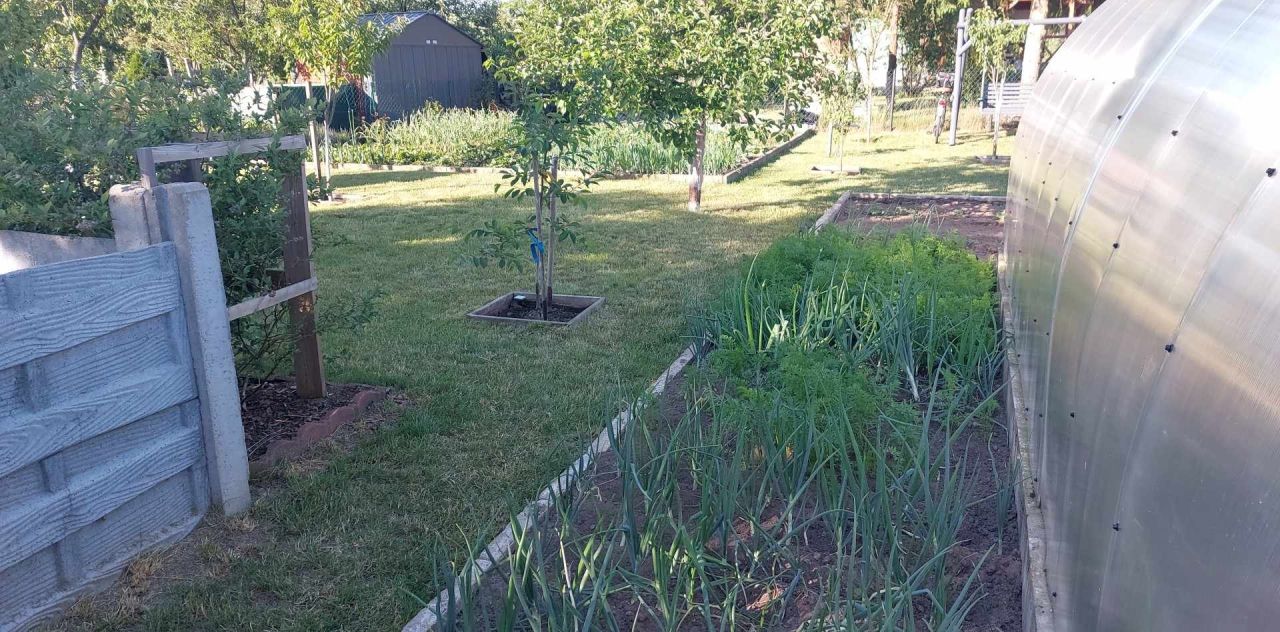 Działka rod Grochowiska. Zdjęcie 23