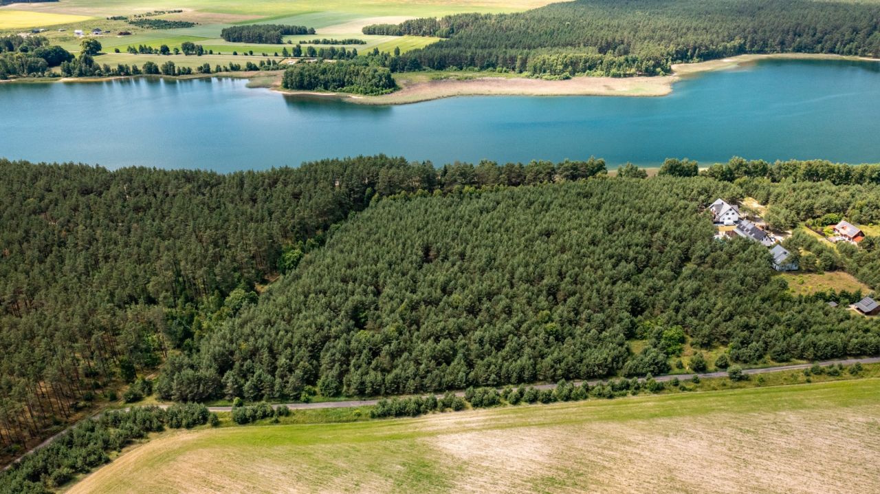 Działka inwestycyjna Koczała, Dymin. Zdjęcie 6