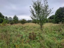 Działka rolno-budowlana Durąg. Zdjęcie 1