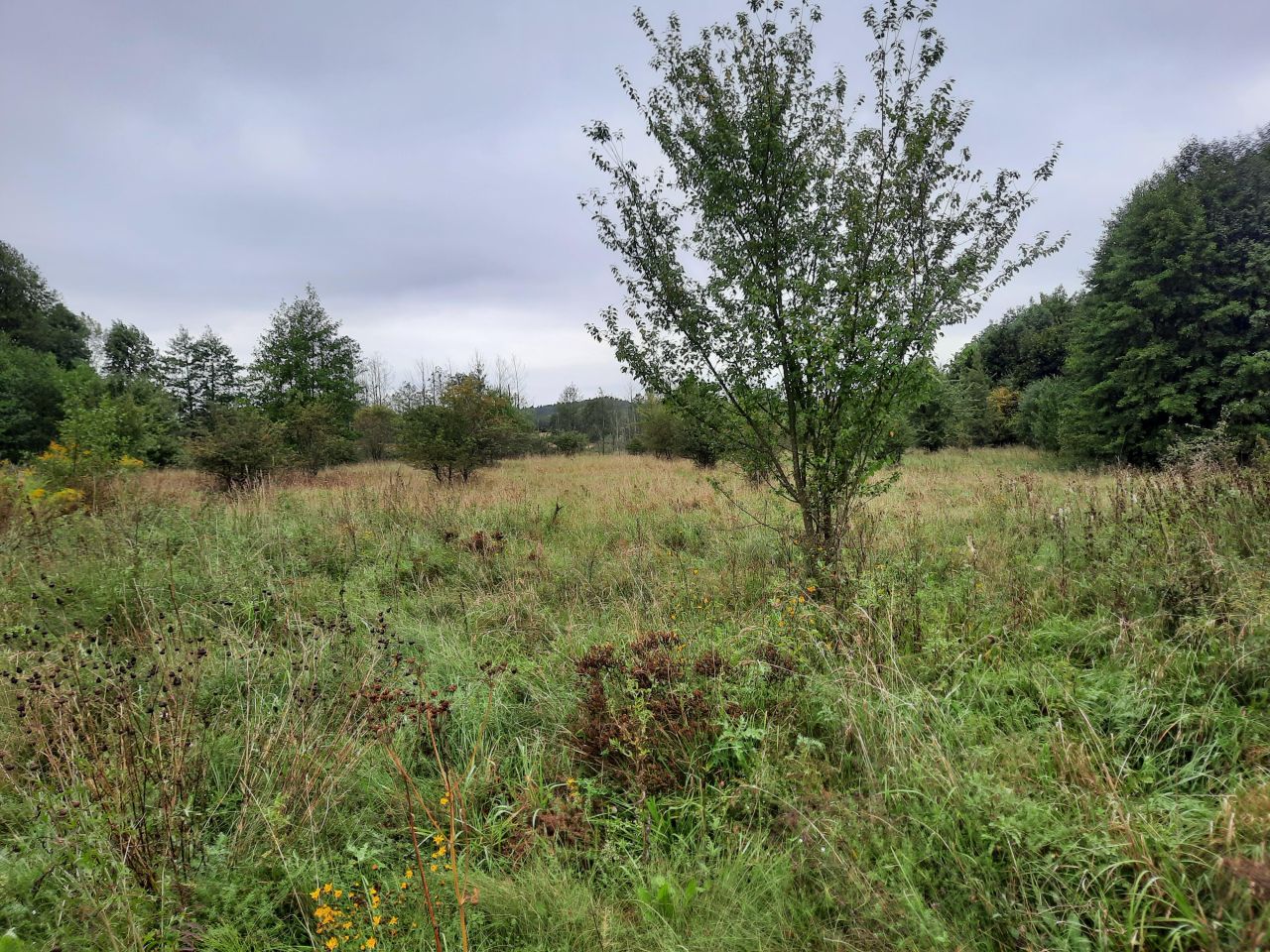 Działka rolno-budowlana Durąg. Zdjęcie 2