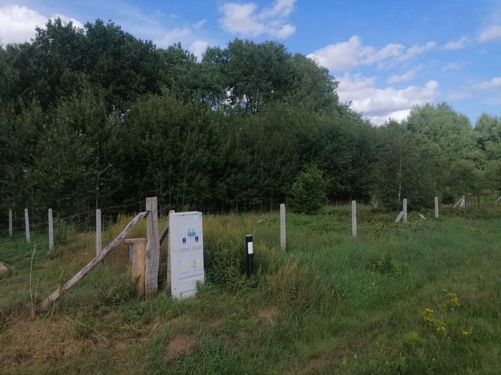 Działka rolno-budowlana Białuń, ul. Morelowa. Zdjęcie 5