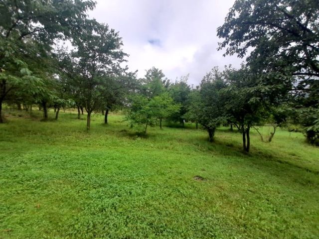 Działka budowlana Bysina. Zdjęcie 1