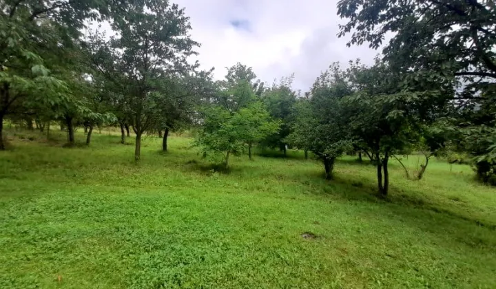 Działka budowlana Bysina