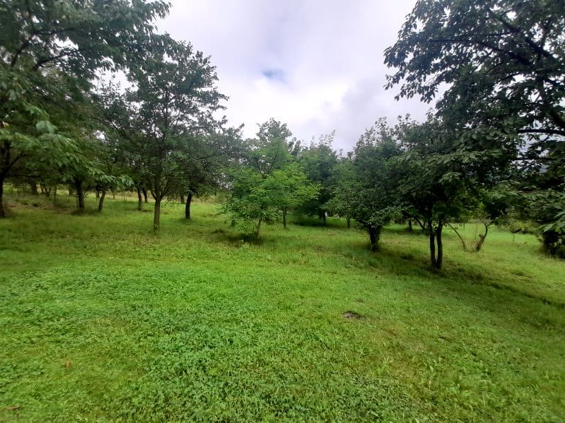 Działka budowlana Bysina. Zdjęcie 1