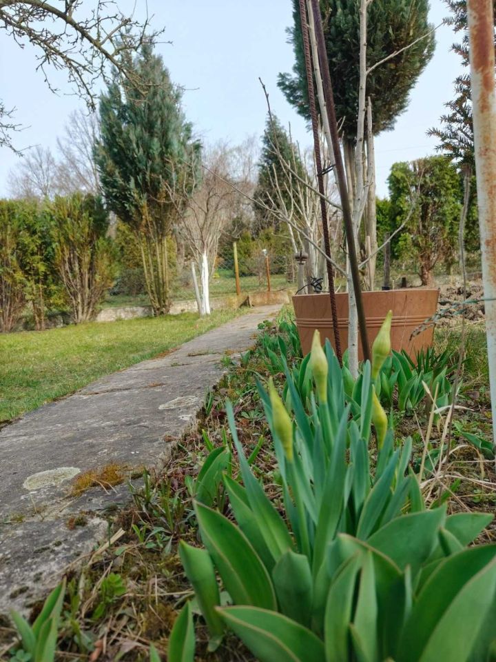 Działka rod Świdnica, ul. Pogodna. Zdjęcie 2