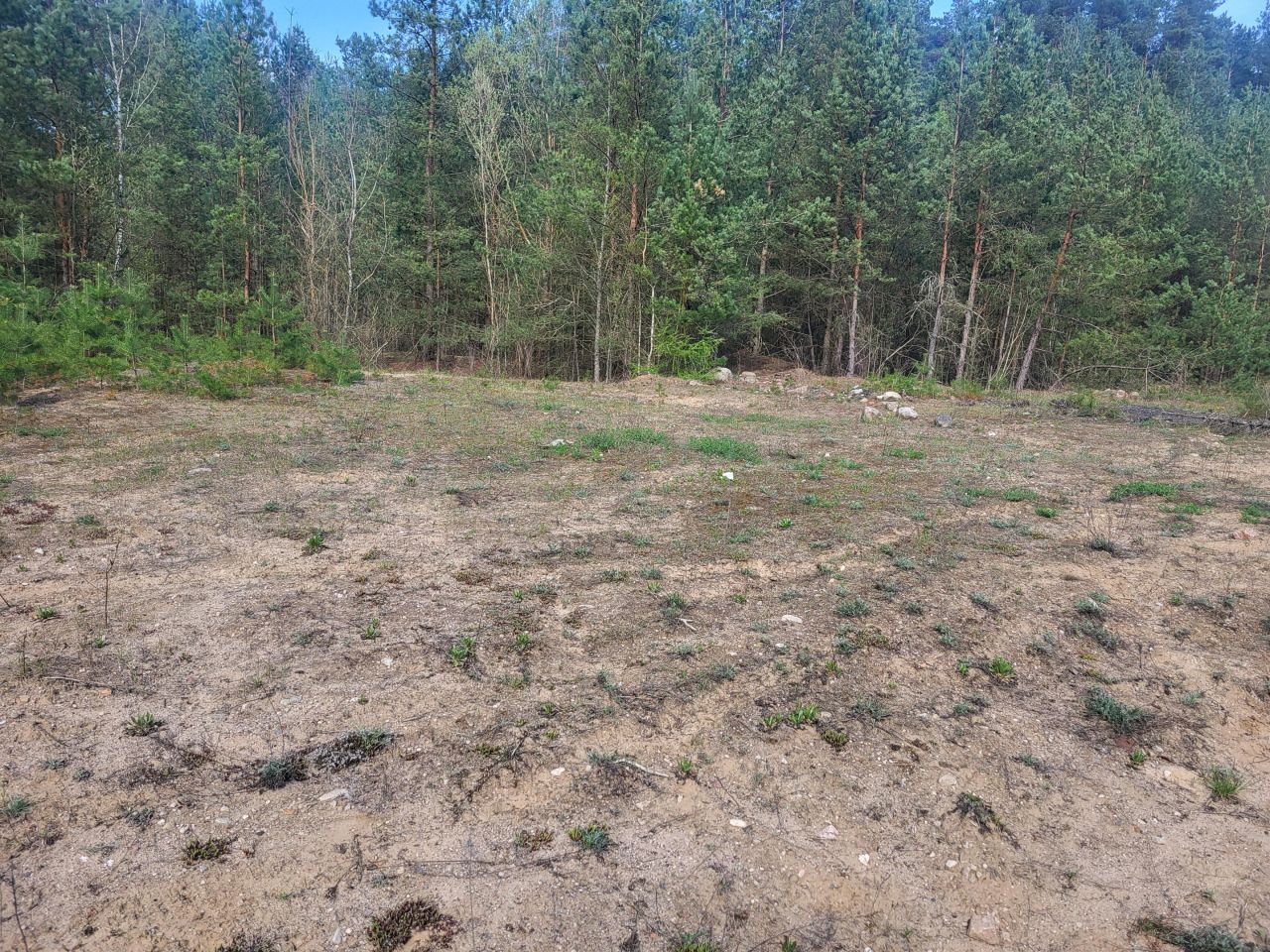 Działka budowlana Dzierżążno. Zdjęcie 4