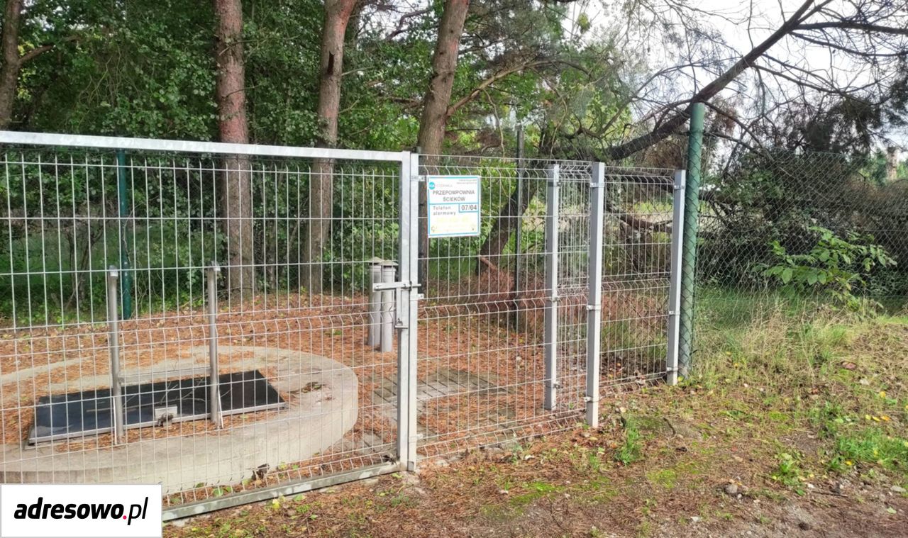 Zdjęcie 5