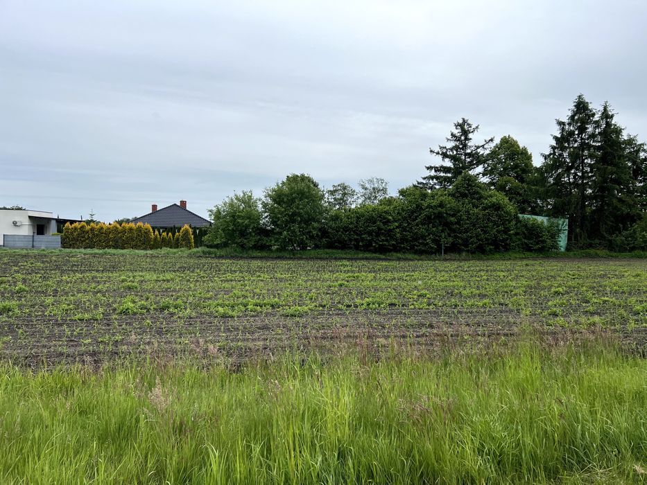 Działka budowlana Żory