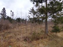 Działka rolno-budowlana Kościelisko Chotarz, ul. Nędzy-Kubińca. Zdjęcie 3