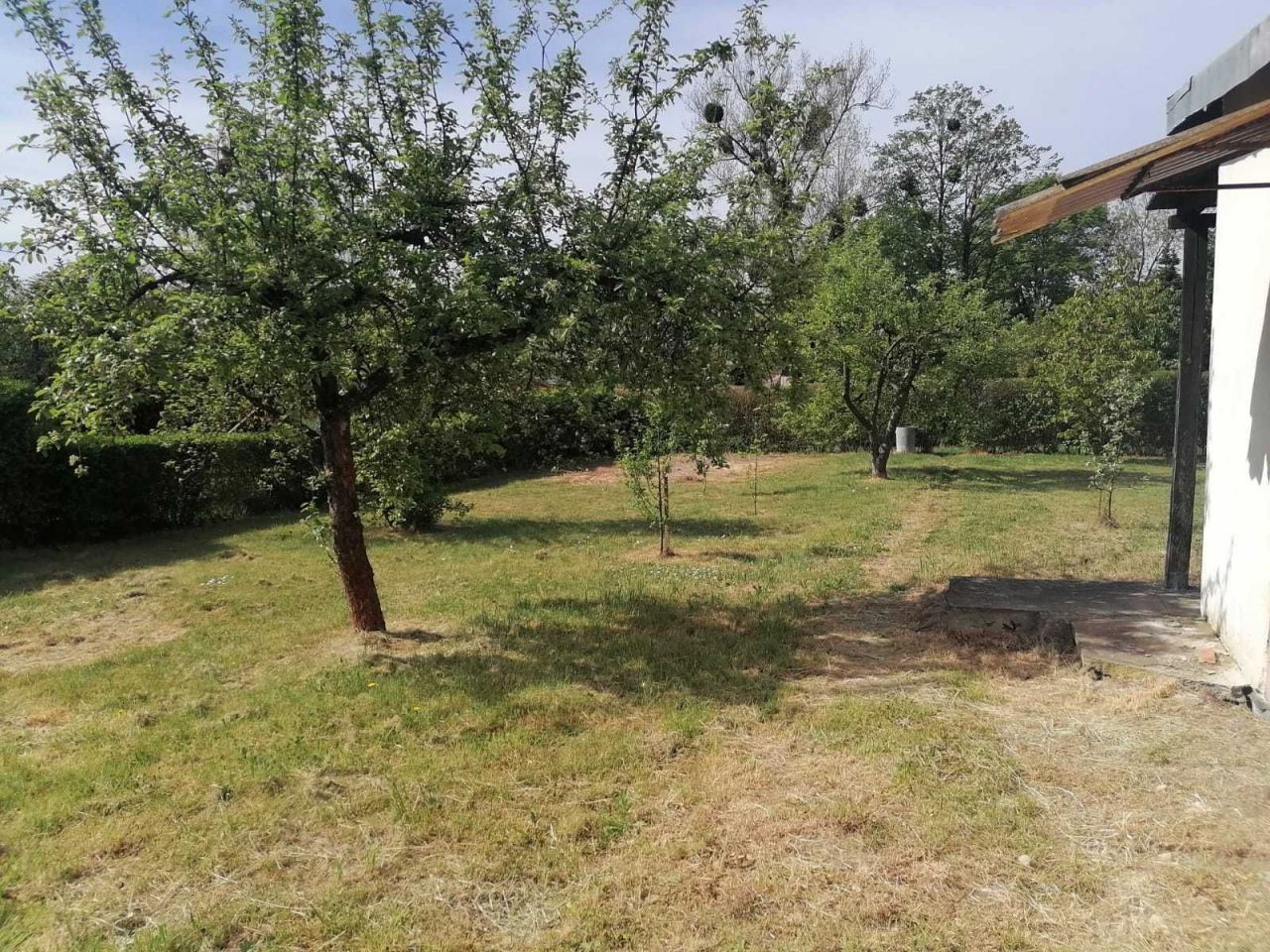 Działka rod Racibórz Brzezie. Zdjęcie 6