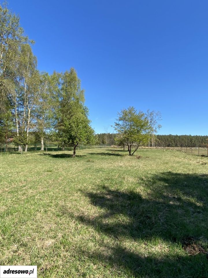 Działka rolno-budowlana Jarszewko. Zdjęcie 9