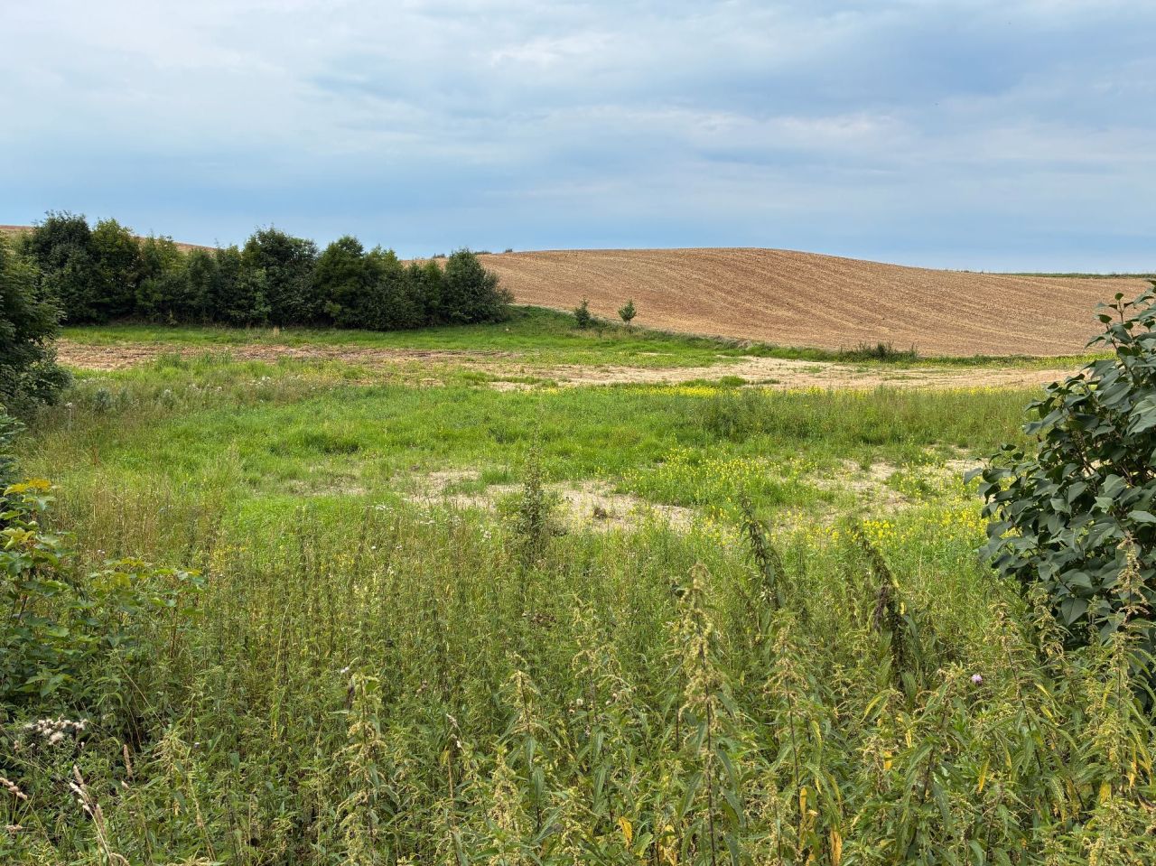 Działka rolno-budowlana Białogóry. Zdjęcie 6