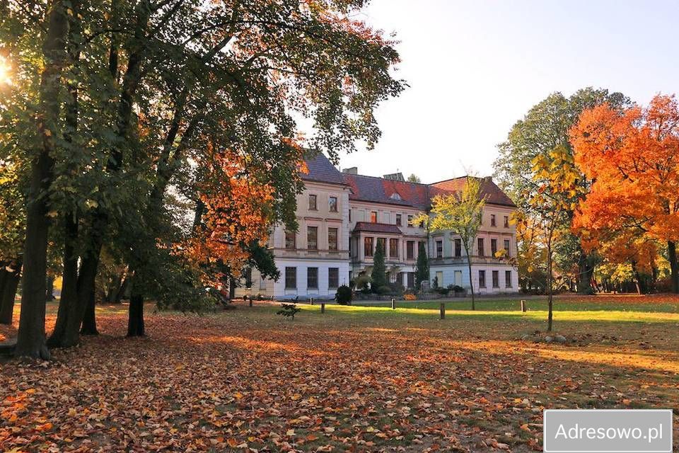 Nieruchomość komercyjna Racibórz. Zdjęcie 4