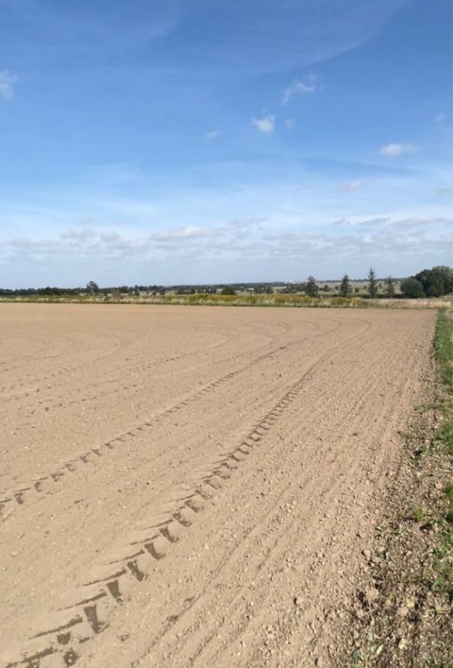 Działka budowlana Paszowice. Zdjęcie 4