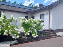 dom wolnostojący, 5 pokoi Władysławów Felicjanów, ul. Jana Pawła II. Zdjęcie 3