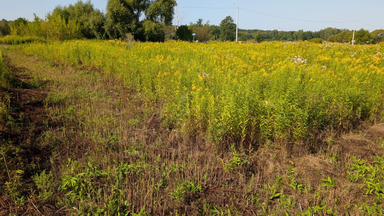 Działka budowlana Kąck, ul. Malownicza. Zdjęcie 4