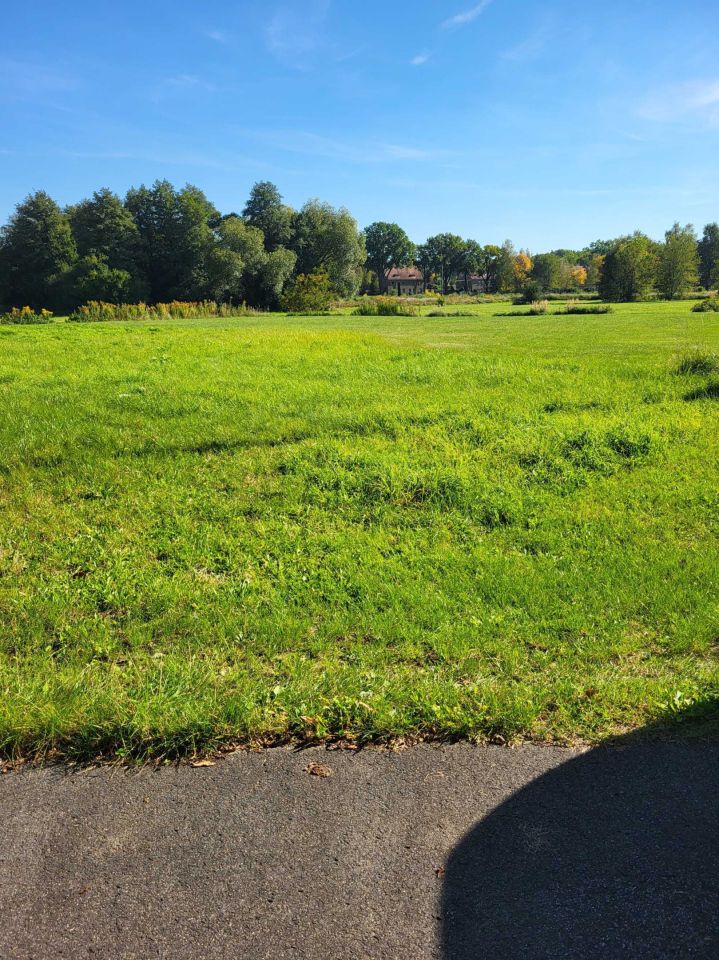 Działka budowlana Iłowa, ul. Żaków. Zdjęcie 1