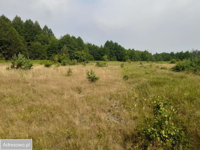 Działka rolno-budowlana Kamion. Zdjęcie 1