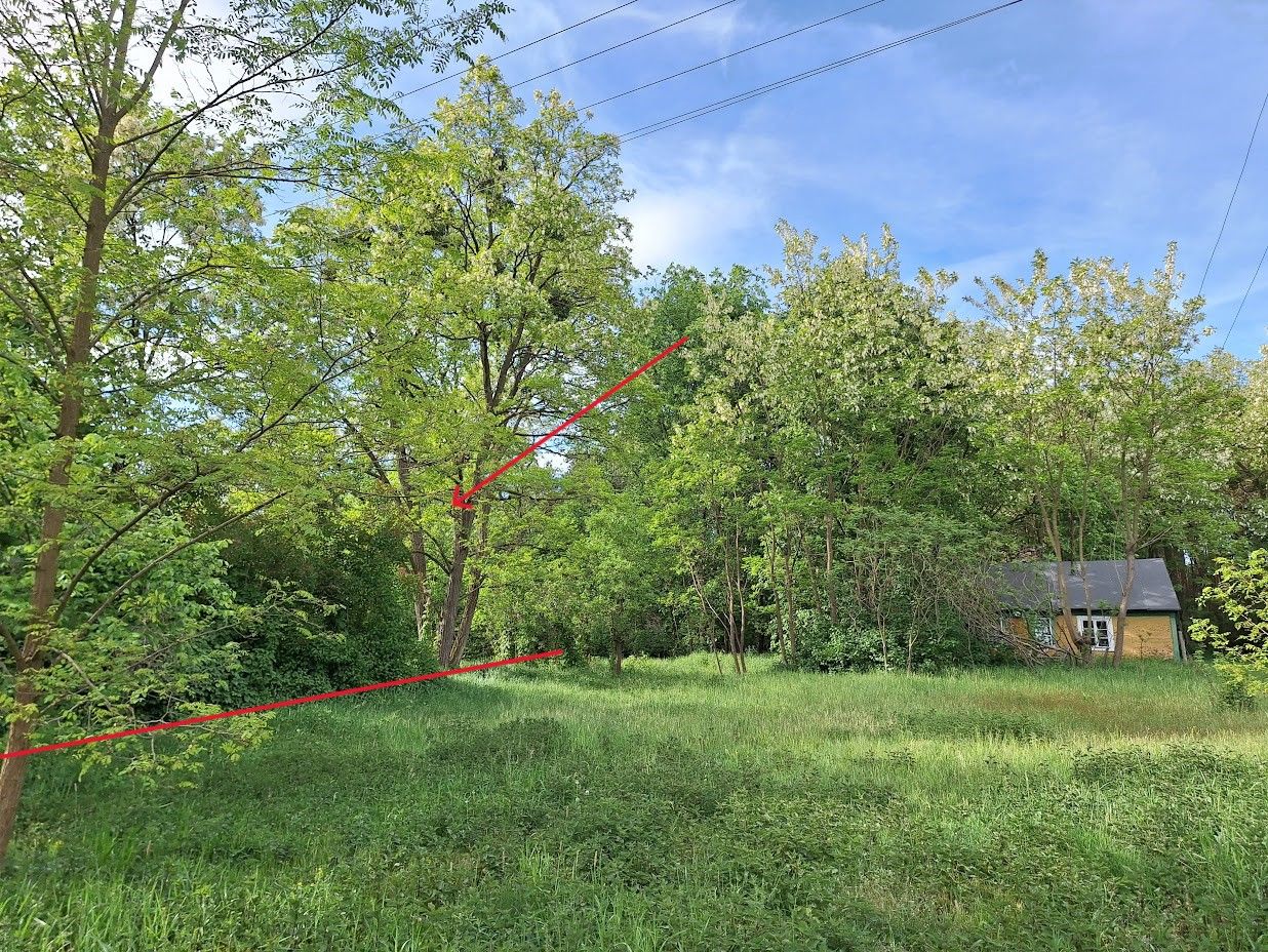 Działka rolno-budowlana Nowa Wieś-Śladów. Zdjęcie 13