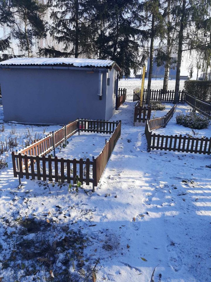 Działka rod Działyń. Zdjęcie 6