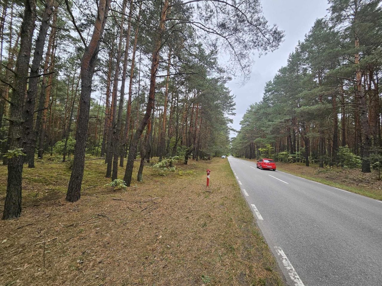 Działka leśna Radzymin Rejentówka, ul. Zygmunta Wróblewskiego. Zdjęcie 4