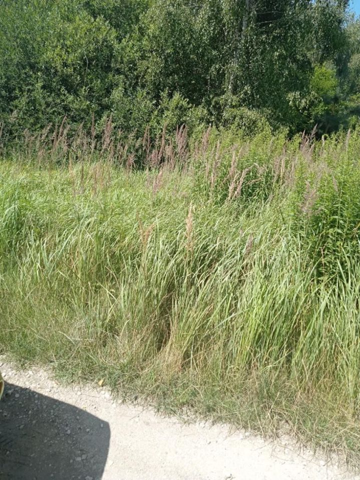 Działka rolna Grodzisko. Zdjęcie 5