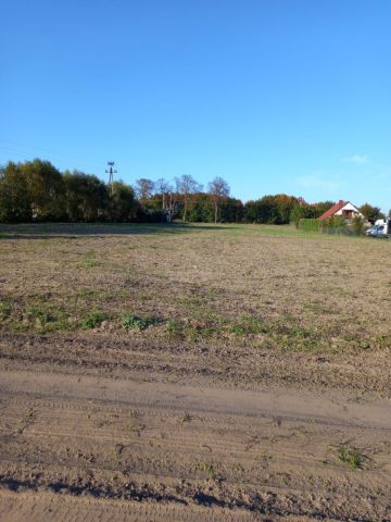 Działka rolna Sypniewo. Zdjęcie 1
