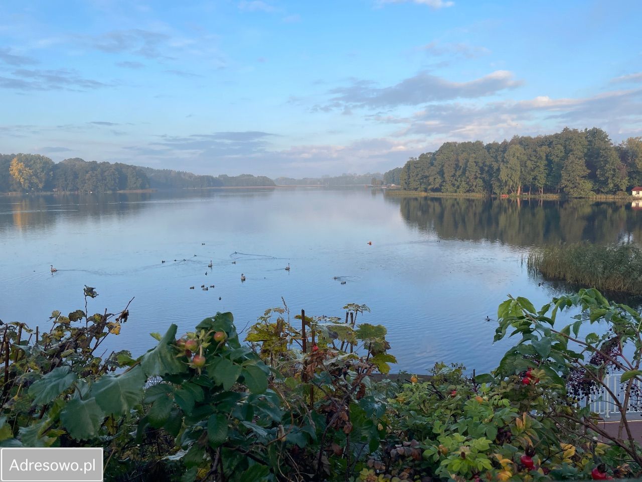 dom wolnostojący, 8 pokoi Sępólno Krajeńskie. Zdjęcie 7