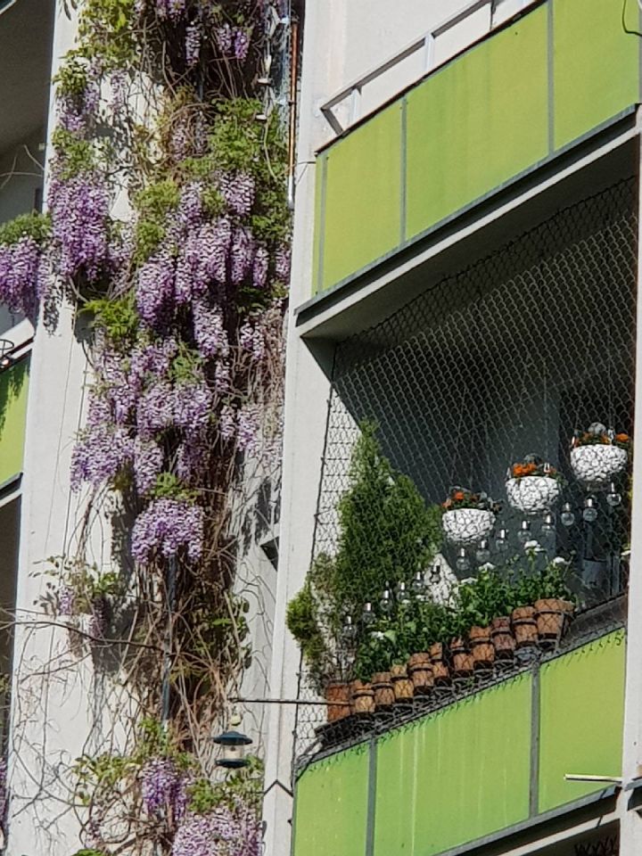 Mieszkanie 1-pokojowe Wrocław Stare Miasto, pl. Legionów