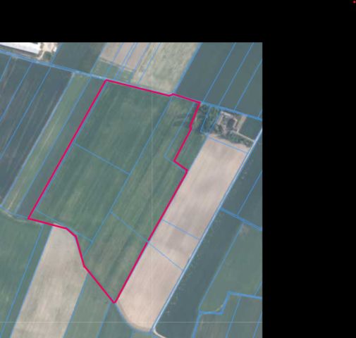 Działka rolna Głogowiany-Wrzosy. Zdjęcie 1