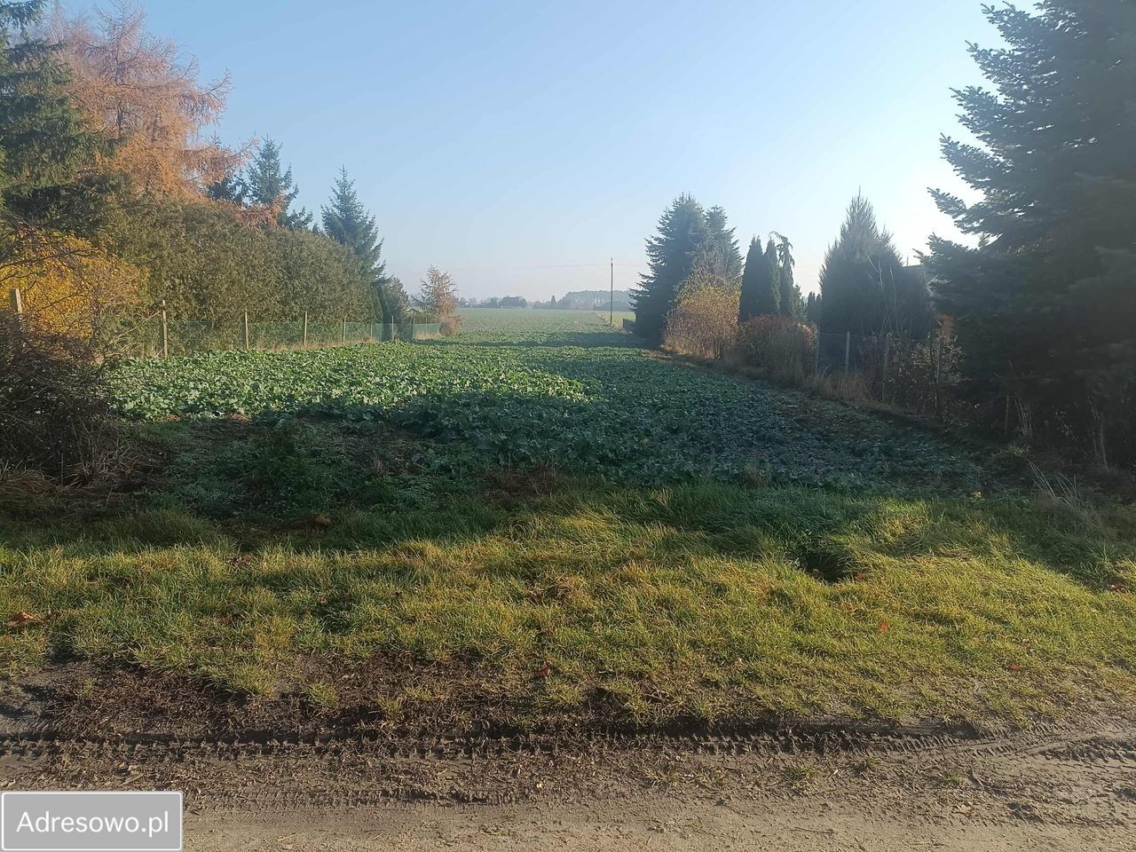 Działka rolna Mochle. Zdjęcie 4