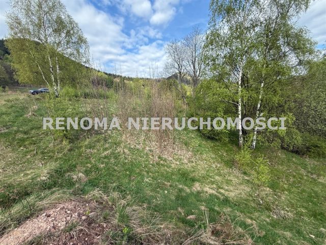 Działka budowlana Jedlina-Zdrój Kamieńsk. Zdjęcie 4