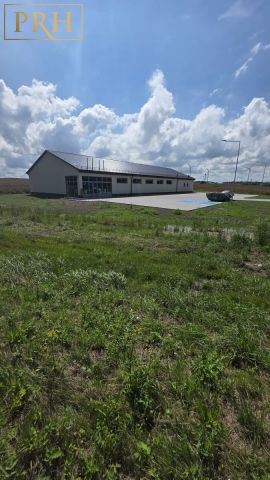 Działka rolno-budowlana Będzino. Zdjęcie 4