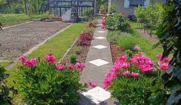 Działka rod Świdnica, ul. Komunalna