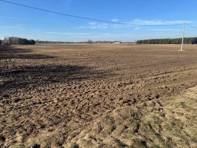 Działka budowlana Zbietka. Zdjęcie 1