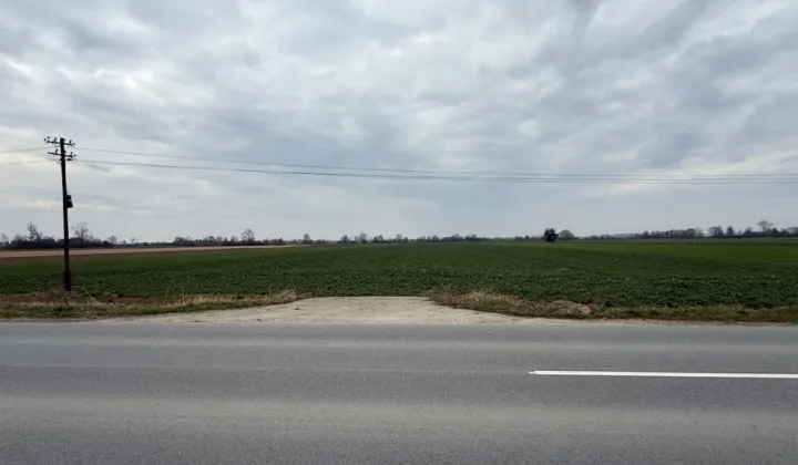 Działka budowlana Surochów