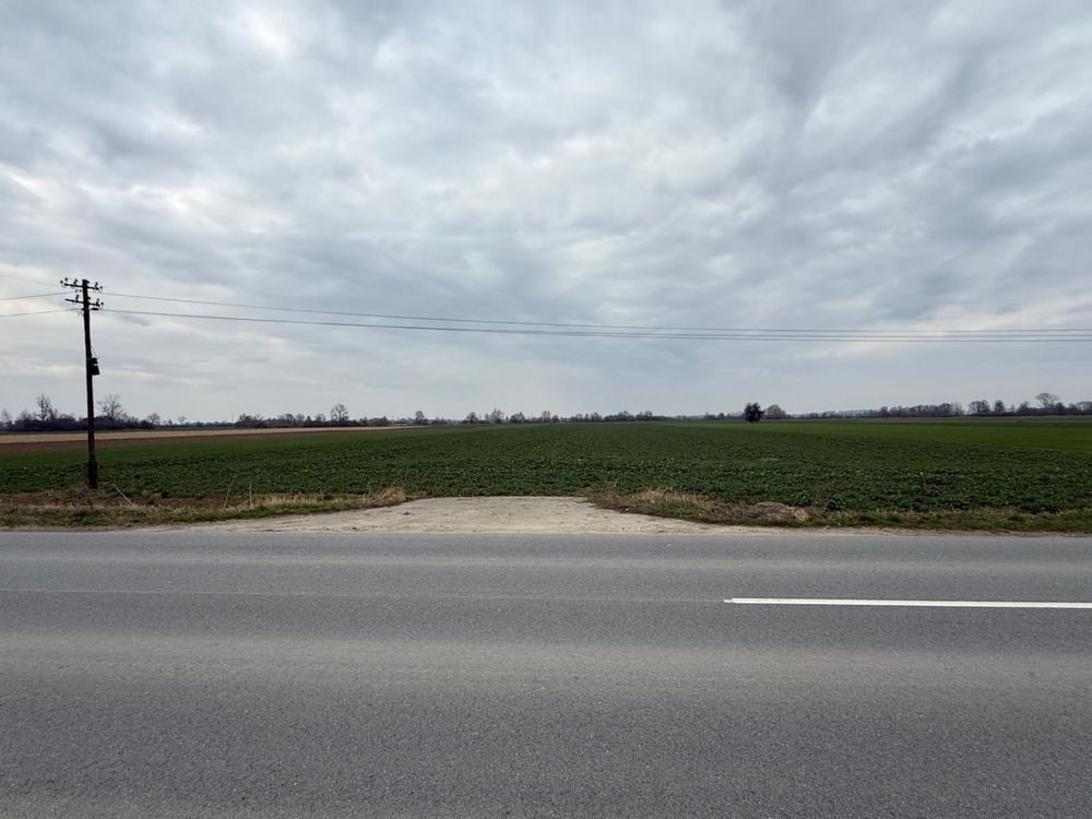 Działka budowlana Surochów. Zdjęcie 1