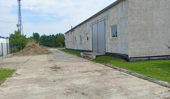 Hala/magazyn Borne Sulinowo, ul. Towarowa
