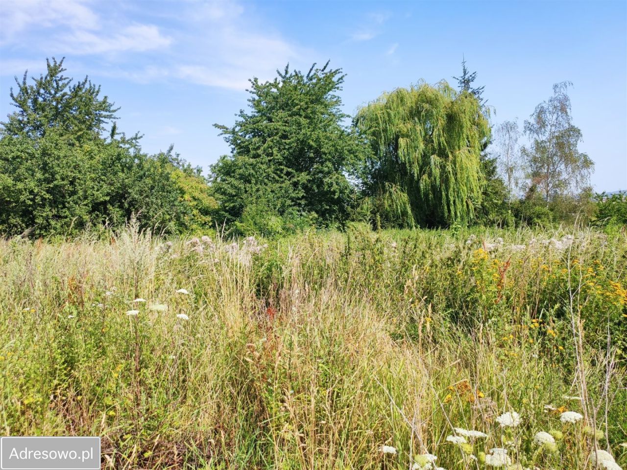 Działka budowlana Dobromierz, ul. Zielona. Zdjęcie 6