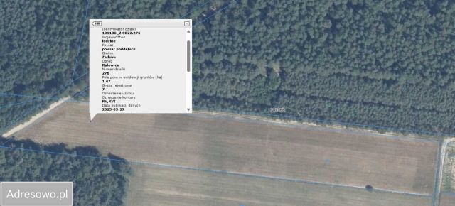 Działka rolna Ralewice. Zdjęcie 1