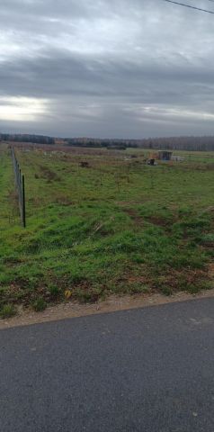 Działka budowlana Smulska. Zdjęcie 2