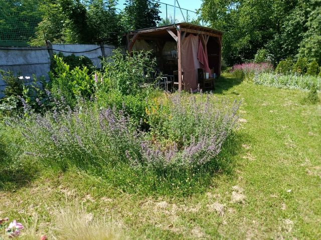 Działka rod Wrocław Krzyki, ul. Powstańców Śląskich. Zdjęcie 1