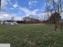 Działka rolno-budowlana Włyń. Zdjęcie 2