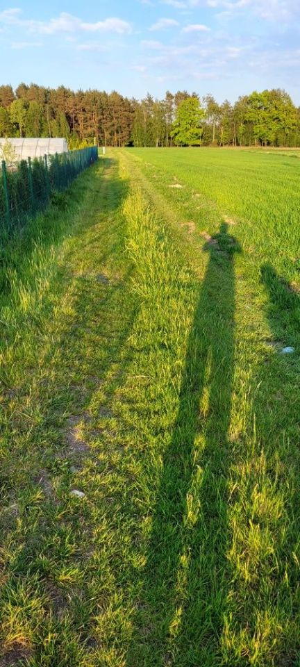 Działka rolno-budowlana Krasne Kosów. Zdjęcie 3